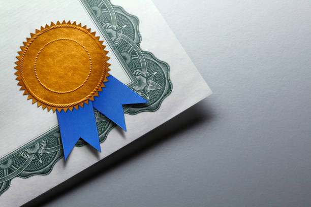 istockphoto-942721178-612x612.jpg