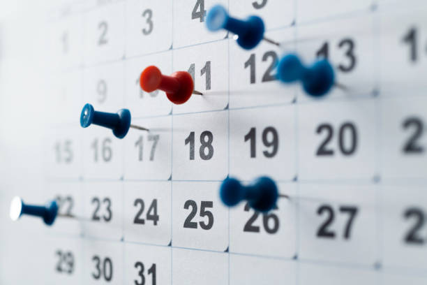 istockphoto-1447963729-612x612.jpg